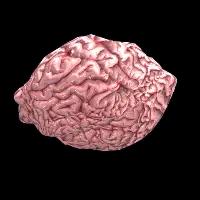 Brain Rock